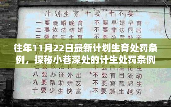 探秘小巷深处的计生处罚条例秘境，历年11月22日最新条例下的独特风情与小店故事