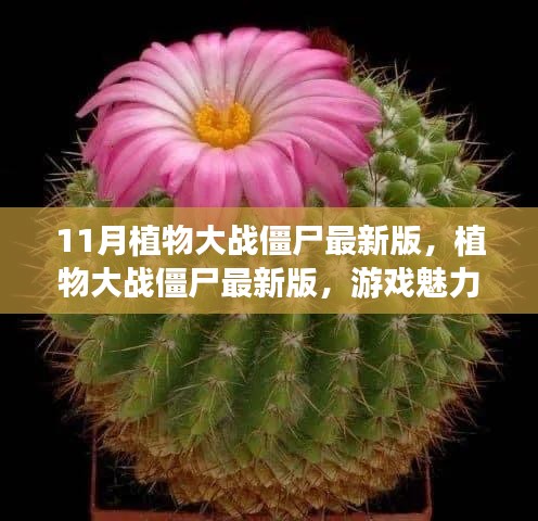 植物大战僵尸最新版魅力与挑战，我的观点分析