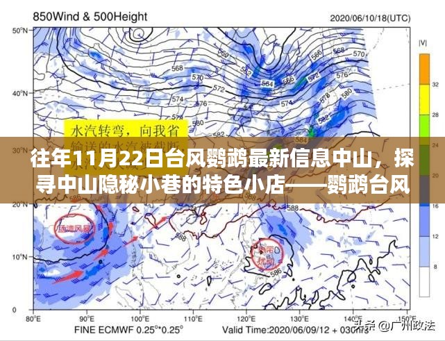 台风鹦鹉下的中山隐秘小店探寻，惊喜邂逅于中山特色小巷