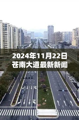 2024年11月22日苍南大道最新资讯与动态