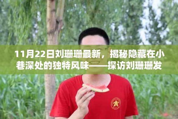 探访刘珊珊发现的神秘小巷美食店，独特风味揭秘