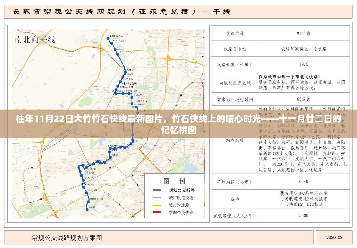 竹石快线暖心时光，十一月廿二日的记忆拼图与最新图片回顾