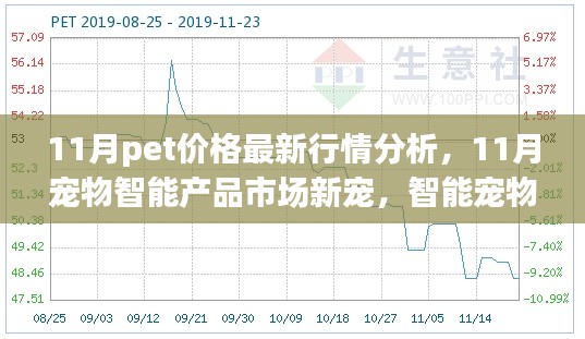 11月宠物市场与智能产品行情深度解析，价格趋势、新品体验报告