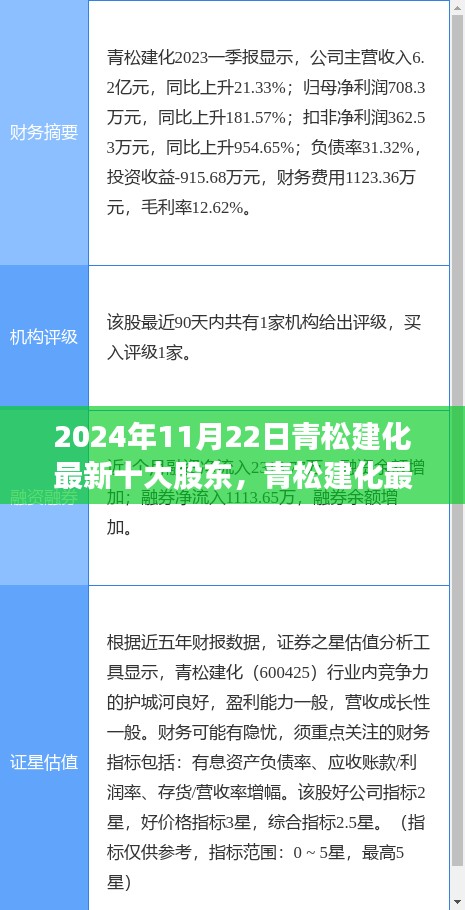 青松建化最新十大股东深度解析，背景、事件与地位到2024年11月22日的洞察