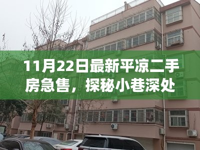 探秘小巷深处的独特小店，揭秘平凉二手房急售背后的故事