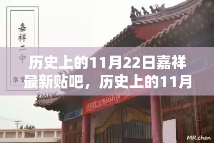 2024年11月 第219页