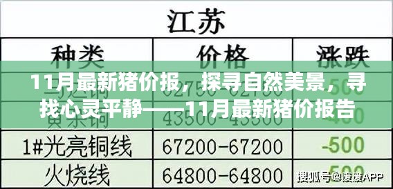 探寻自然美景与心灵平静，揭秘猪价背后的故事——最新猪价报告深度解析