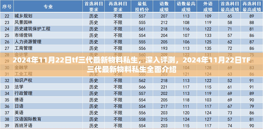 TF三代最新物料私生的深度评测与全面介绍 (2024年11月22日更新)