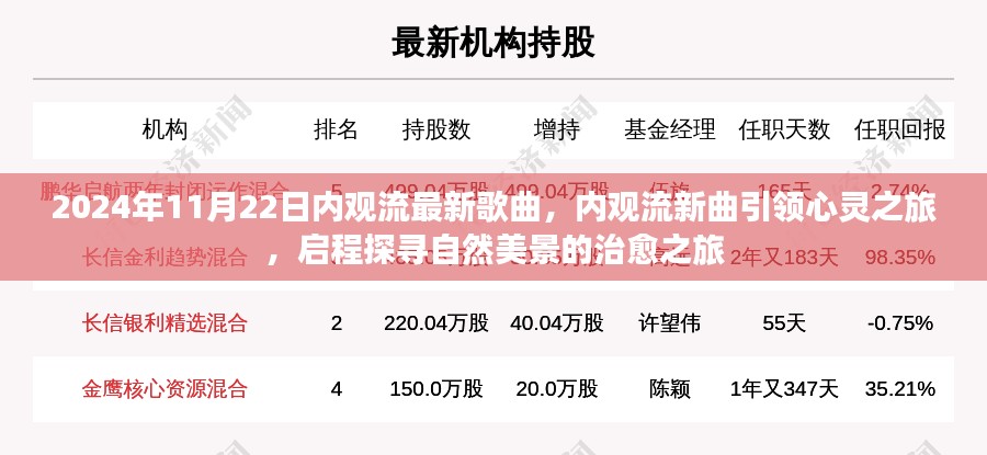 内观流新曲启程，心灵与自然美景的治愈之旅（2024年11月22日最新歌曲）