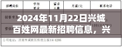 2024年兴城百姓网最新招聘信息及测评报告