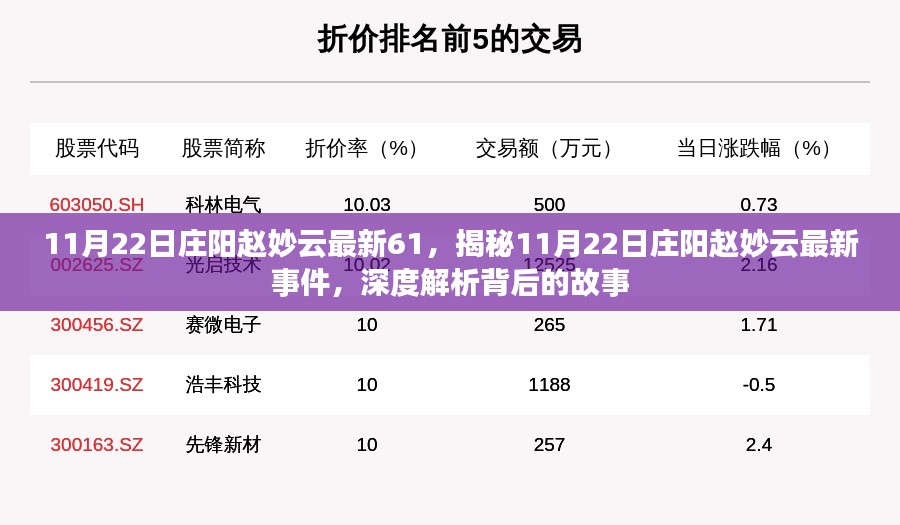 揭秘庄阳赵妙云最新事件，深度解析背后的故事（独家报道）