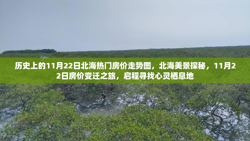 探寻心灵栖息地，北海房价变迁之旅，揭秘历史房价走势与美景探秘