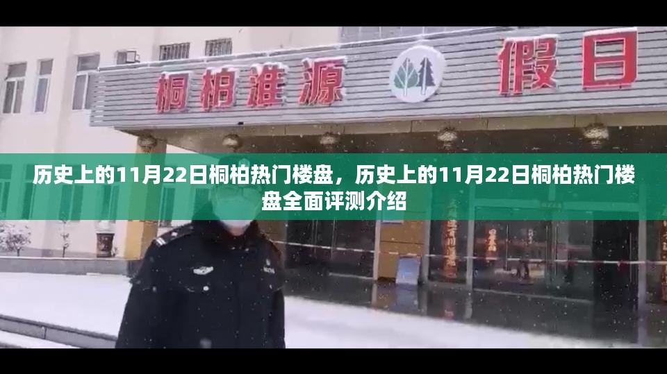 历史上的11月22日桐柏热门楼盘，历史上的11月22日桐柏热门楼盘全面评测介绍