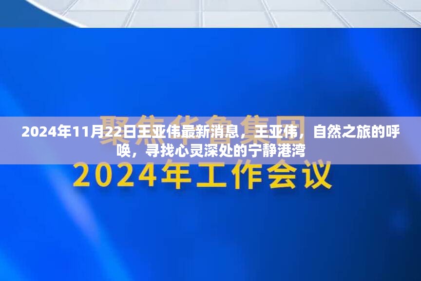 王亚伟心灵之旅，探寻宁静港湾的最新消息