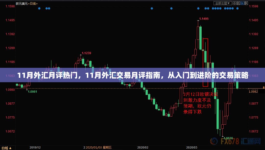 从入门到进阶，11月外汇交易月评指南与策略解析