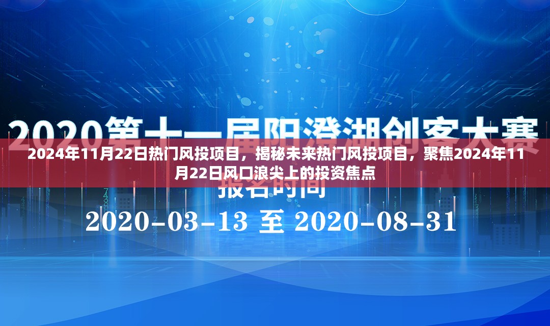 揭秘未来热门风投项目，聚焦风口浪尖的投资焦点（2024年11月22日）