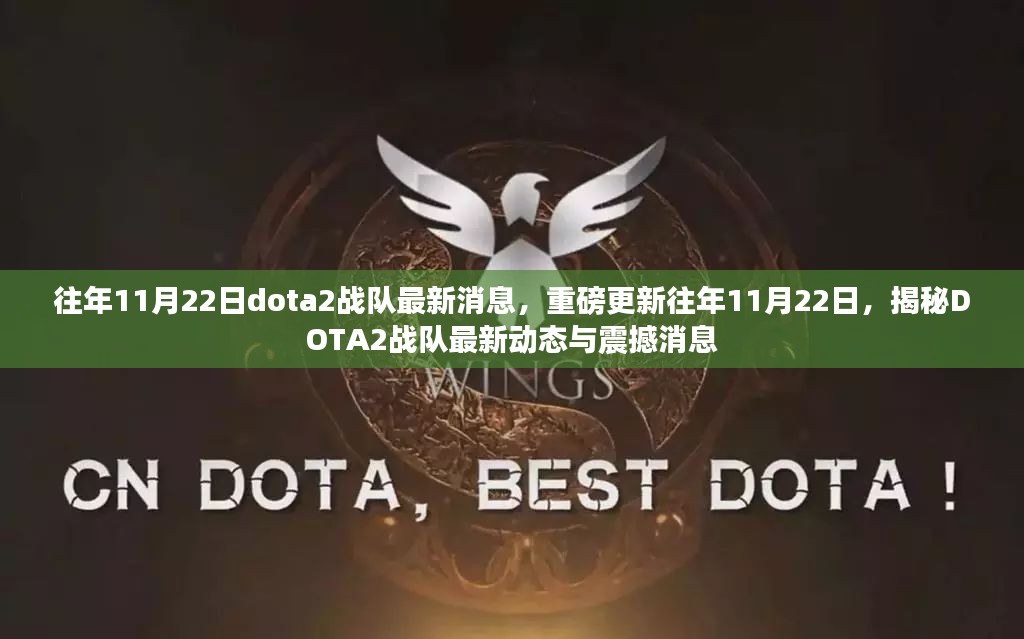 揭秘DOTA2战队最新动态与震撼更新，历年11月22日回顾与前瞻