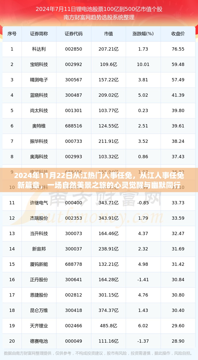 2024年11月 第203页