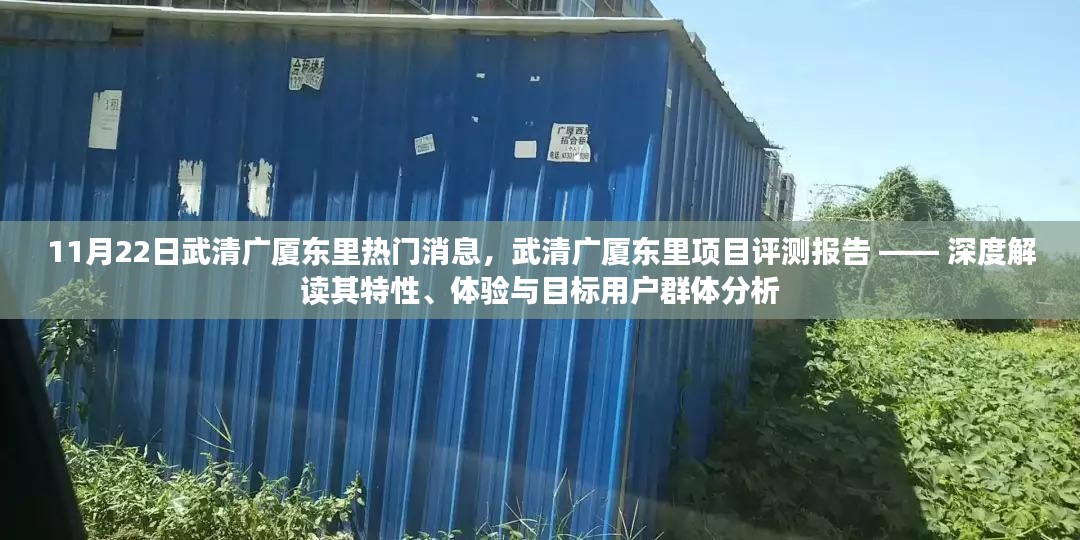 武清广厦东里项目深度评测报告，特性解读与目标用户群体分析