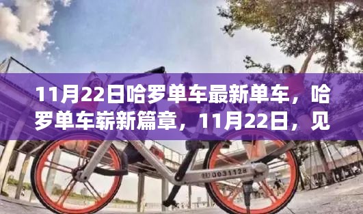 11月22日哈罗单车最新单车，哈罗单车崭新篇章，11月22日，见证智能单车的崭新崛起