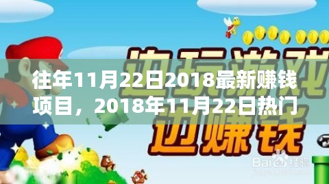 往年11月22日2018最新赚钱项目，2018年11月22日热门赚钱项目深度解析，创新与风险并存的观点探讨