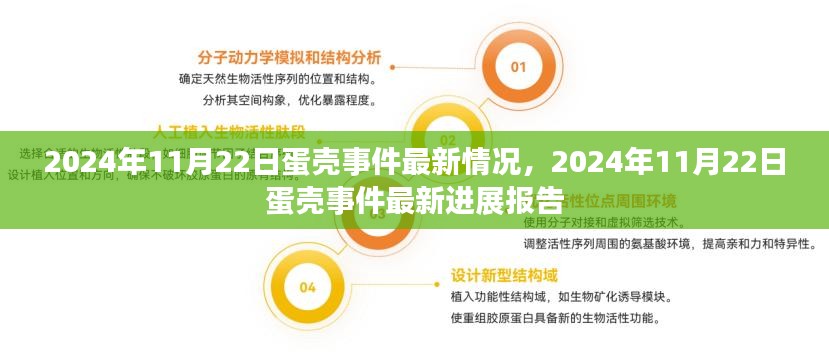 蛋壳事件最新进展报告，截至2024年11月22日的最新情况分析