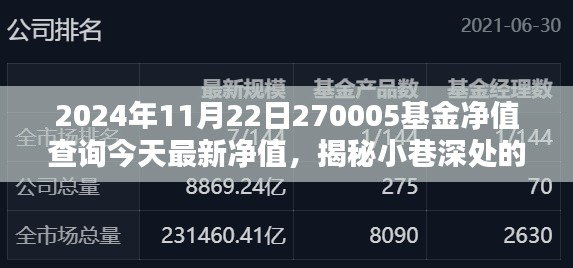 今日揭秘，小巷宝藏特色小店与基金净值新动向——探寻270005基金净值今日表现