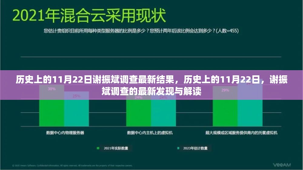 历史上的11月22日，谢振斌最新调查解读与发现揭秘