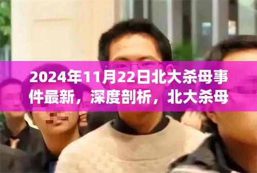 北大杀母事件最新进展深度剖析，背后的故事与反思