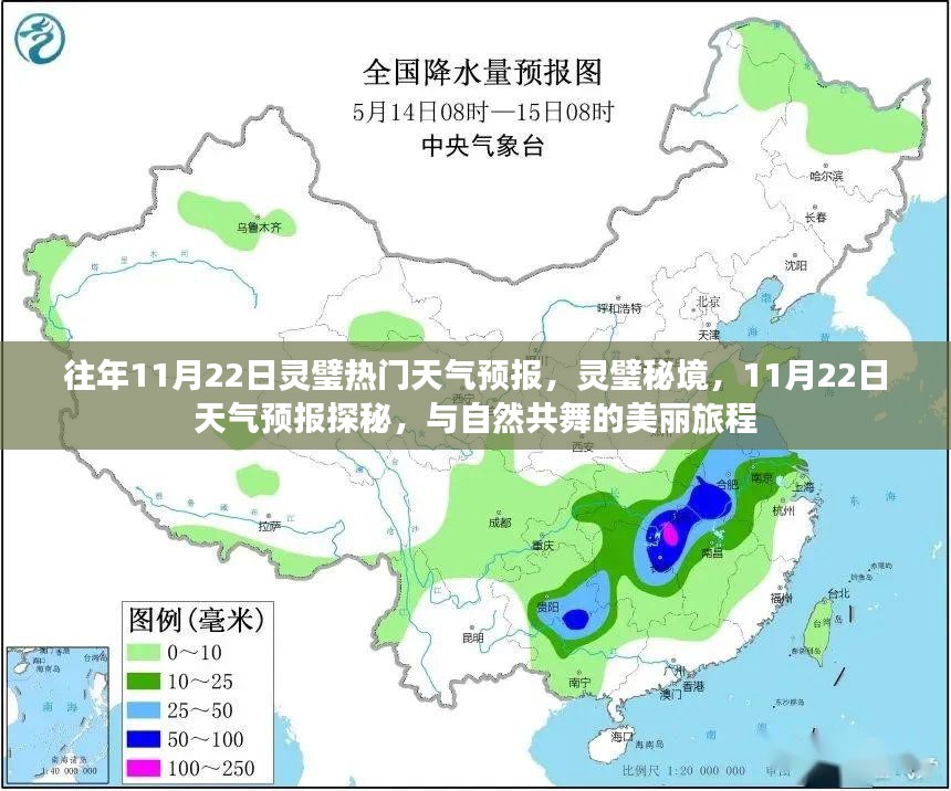 2024年11月 第182页