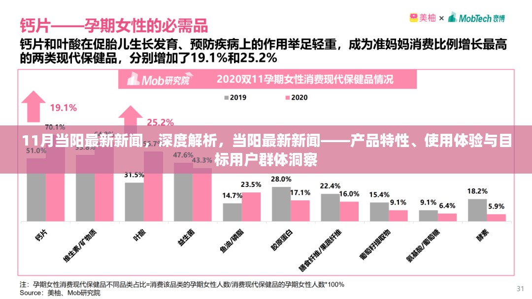 11月当阳最新新闻深度解析，产品特性、用户体验与目标用户群体洞察