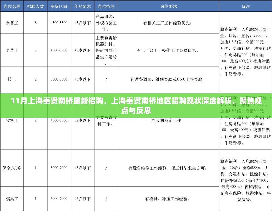 上海奉贤南桥地区招聘深度解析与现状聚焦，最新招聘信息及反思