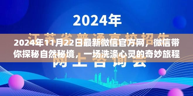 2024年11月22日最新微信官方网，微信带你探秘自然秘境，一场洗涤心灵的奇妙旅程