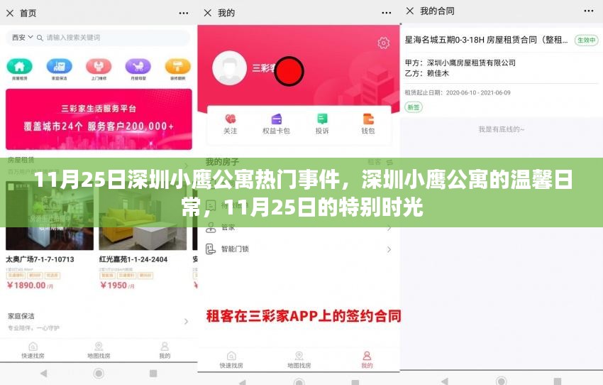 深圳小鹰公寓11月25日特别时光，温馨日常回顾