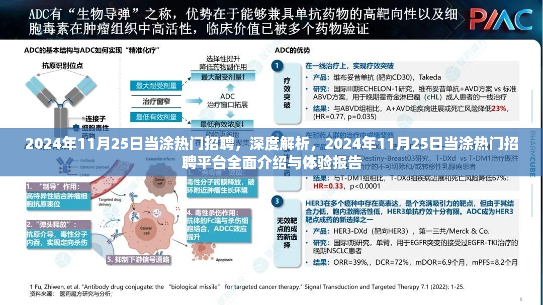 2024年11月 第162页