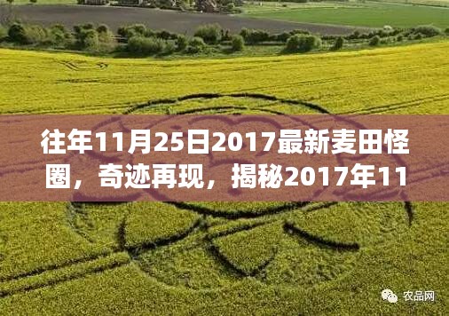 揭秘，历年麦田怪圈背后的神秘故事——奇迹再现于2017年11月25日之夜