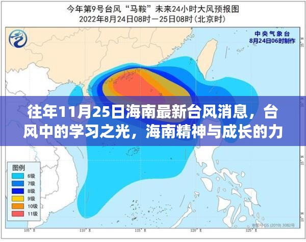 海南台风中的学习之光，精神力量与成长的力量展现