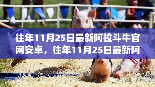 往年11月25日阿拉斗牛官网安卓版全新发布，升级体验与特色功能详解