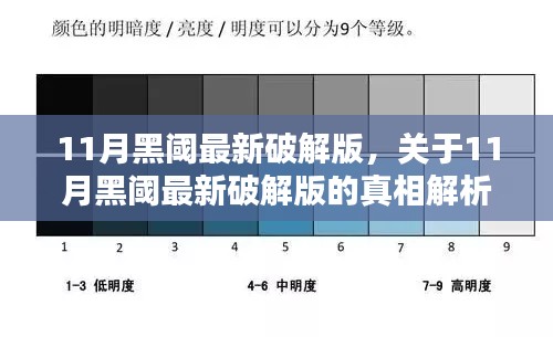 揭秘真相，关于11月黑阈最新破解版的犯罪解析