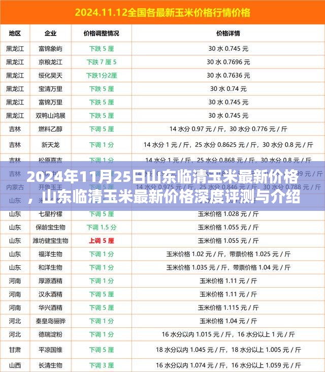 2024年11月25日山东临清玉米最新价格深度解析与介绍