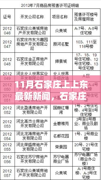 11月石家庄上上东最新新闻与深度评测报告，动态解析与用户体验反馈