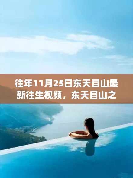 东天目山之旅，追寻最新往生视频，探寻内心宁静的力量之旅