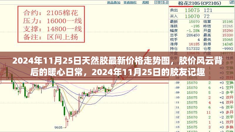 胶价风云背后的暖心日常，胶友记趣与最新天然胶价格走势图（2024年11月25日）