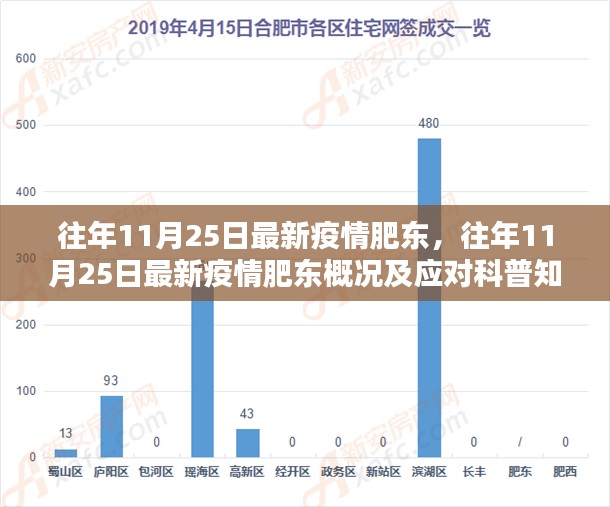 往年11月25日肥东最新疫情概况及应对科普知识揭秘