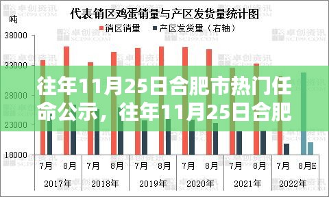 合肥市历年11月25日重要任命公示全景透视