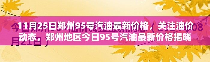 郑州今日95号汽油最新价格及油价动态关注