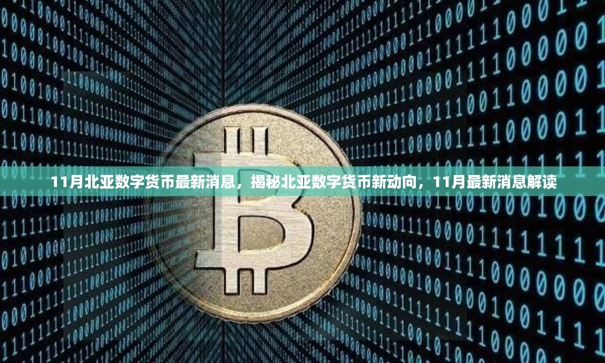 北亚数字货币最新动态揭秘，11月新动向解读