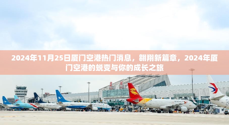 翱翔新篇章，厦门空港蜕变与旅客成长之旅