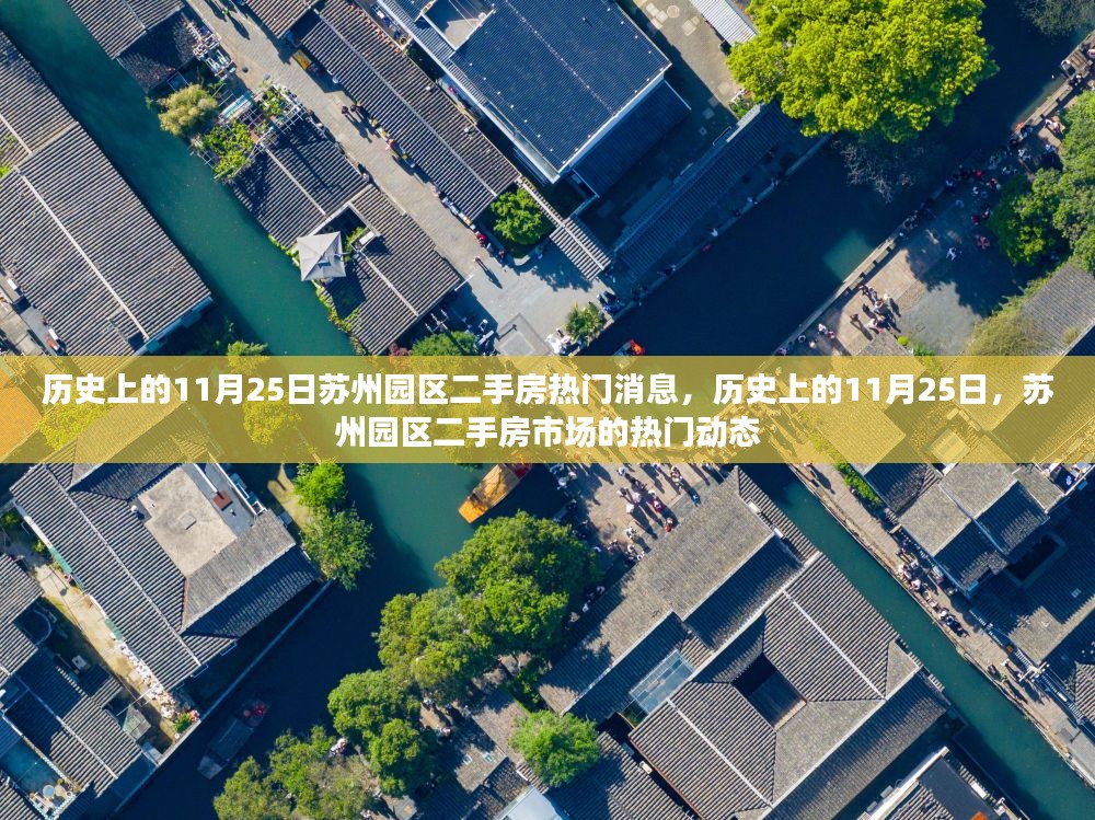 历史上的11月25日苏州园区二手房市场动态概览