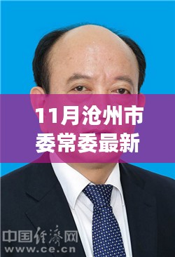 见证时代变革与未来，沧州市委常委最新名单揭晓